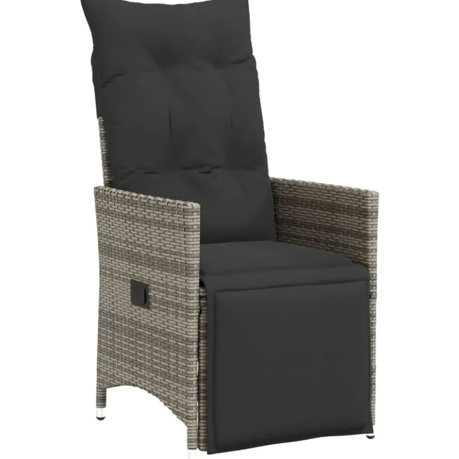 vidaXL - Tuinstoel - Grijs - Poly rattan