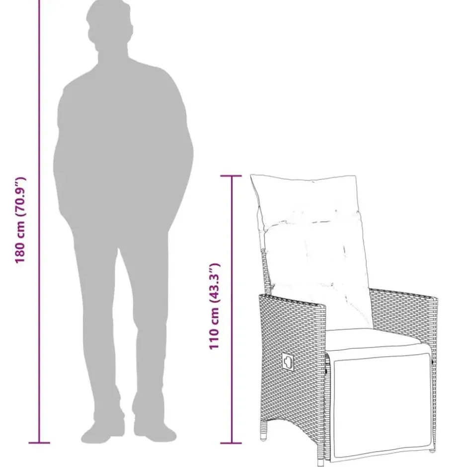vidaXL - Tuinstoel - Grijs - Poly rattan