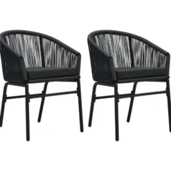 vidaXL - Tuinstoel - Zwart - Polyetheen - 2 stuks