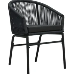 vidaXL - Tuinstoel - Zwart - Polyetheen - 2 stuks