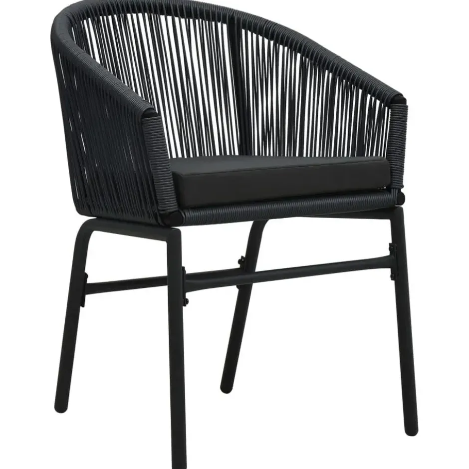 vidaXL - Tuinstoel - Zwart - Polyetheen - 2 stuks