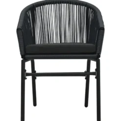 vidaXL - Tuinstoel - Zwart - Polyetheen - 2 stuks