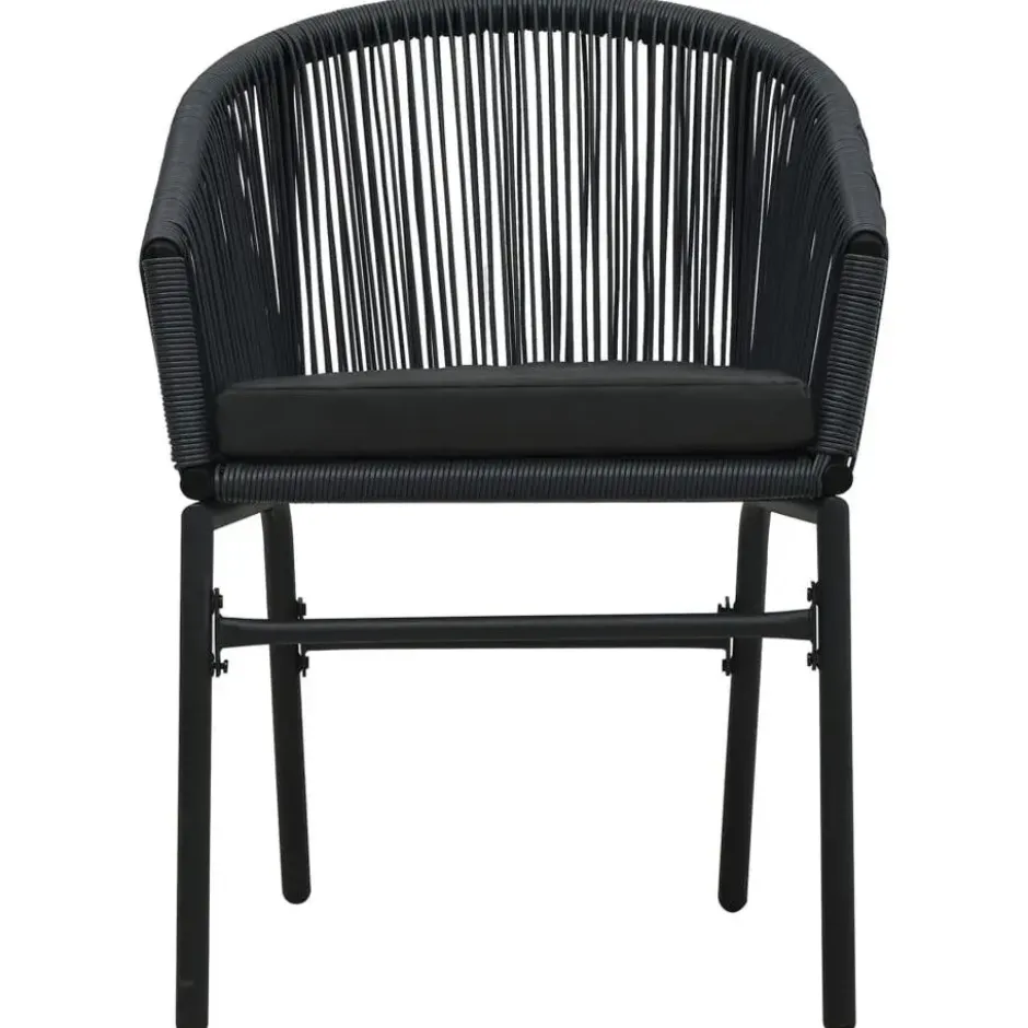 vidaXL - Tuinstoel - Zwart - Polyetheen - 2 stuks
