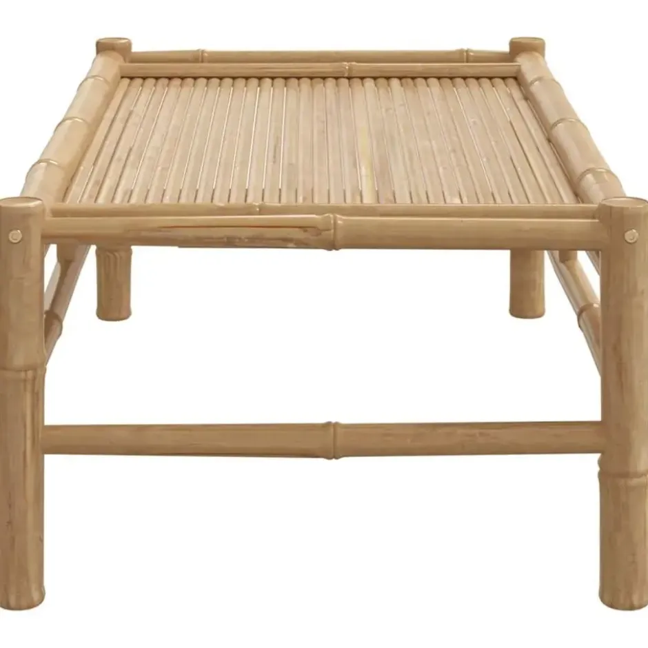 vidaXL - Tuintafel - Bruin - Bamboe - 100 x 55 x 33 cm