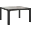 vidaXL - Tuintafel - Grijs - DPC en staal - 55 x 55 x 31 cm