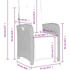 vidaXL - Verstelbare tuinstoelen en voetensteun - Grijs - Poly rattan - 2 stuks