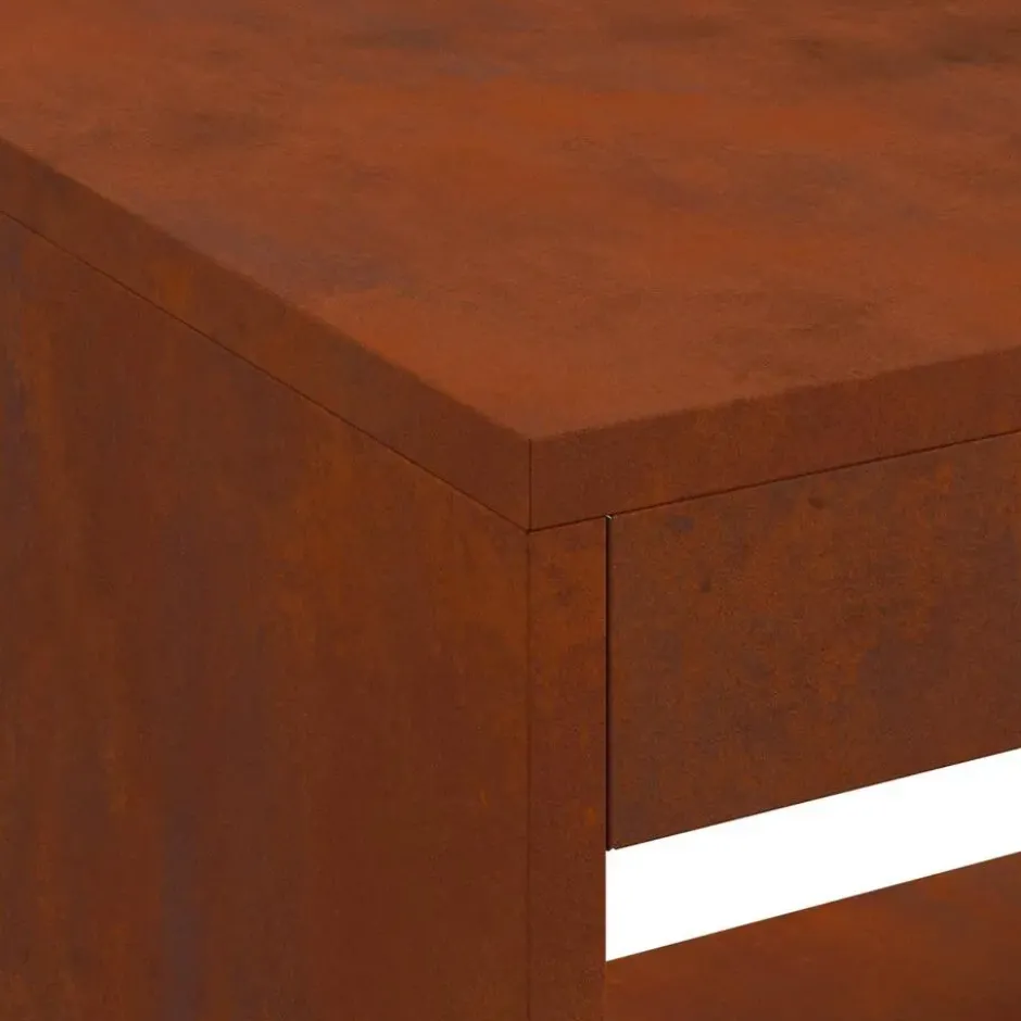 vidaXL - Vuurkorf Bruin 160 x 45 x 35 cm Staal