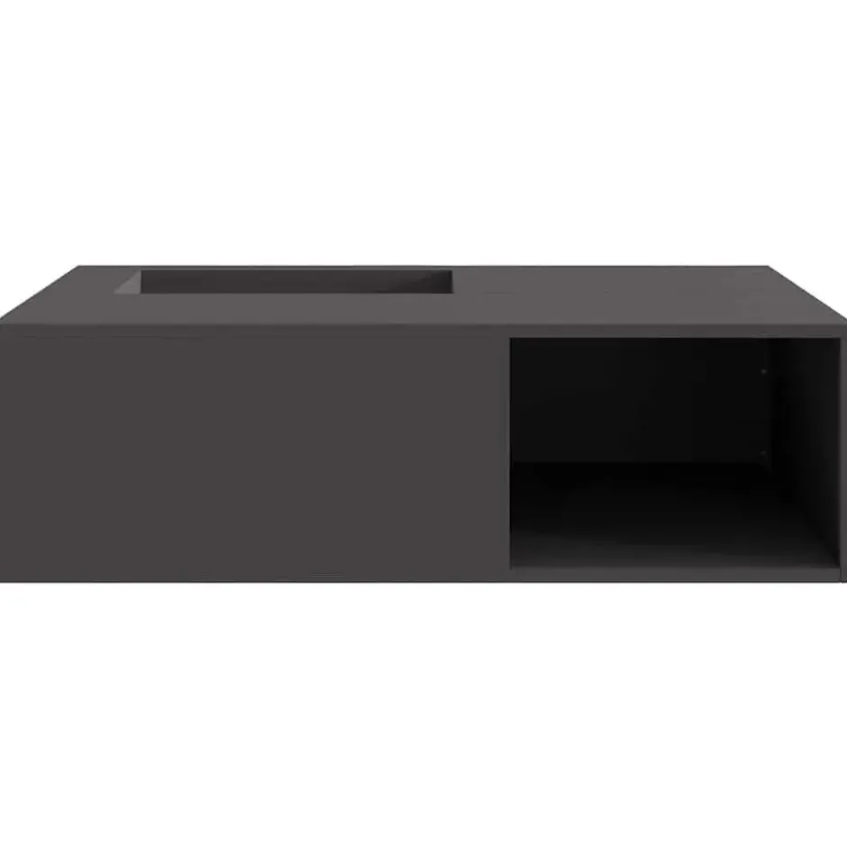 vidaXL - Vuurkorf Zwart 100 x 100 x 30 cm Staal