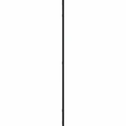vidaXL - Wandspiegel - Zwart - IJzer - 50 x 100 cm