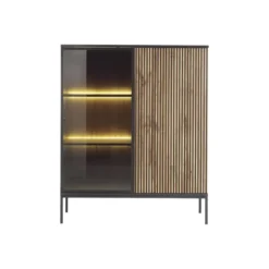 Vitrinekast OVILA - 103.5 cmx39 cmx125.5 cm - Zwart Natuurlijk licht Glas Hout