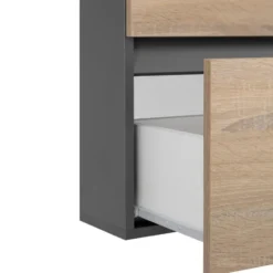 Wisla - Wastafelonderkast met 1 klep en 1 lade in antraciet/eikoptik