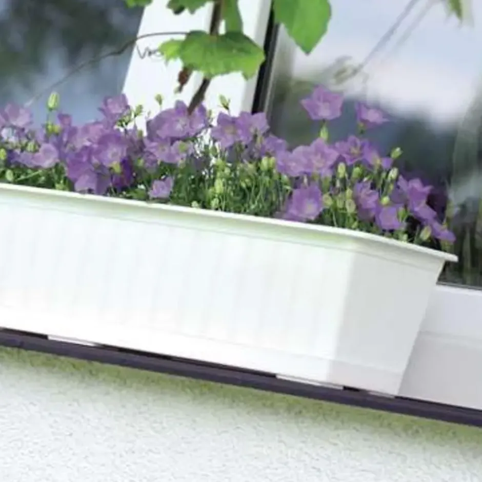 1x Antraciet kunststof Agro plantenbakken/bloembakken 50 cm