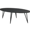 Zwart ovale eettafel Cesar 270x110 cm - Mangohout - Zwart