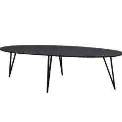 Zwart ovale eettafel Cesar 270x110 cm - Mangohout - Zwart