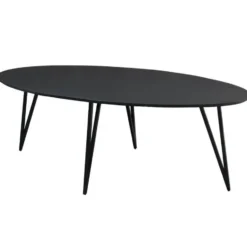 Zwart ovale eettafel Cesar 230x100 cm - Mangohout - Zwart